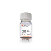 Invitrogen 35050-079 GlutaMAX? L-谷氨酰胺替代添加剂