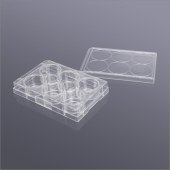 Biosharp BS-CP-6C 6孔玻底/共聚焦培养板(玻底：20mm) 透明,无菌包装
