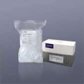 Eppendorf 2244020006 Lavibe 2.0ml微量离心管 平盖 无色 非灭菌
