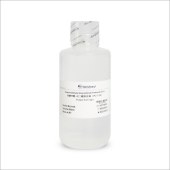 Biosharp BL910A 多聚甲醛-戊二醛固定液(2%/2.5%)