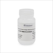 Biosharp BL151A 改进型柠檬酸钠抗原修复液(50X)