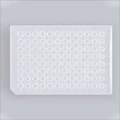 Eppendorf 2244030002 Lavibe PCR 96孔板 0.2ml 半裙边 无色 非灭菌