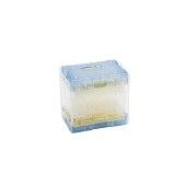 Eppendorf 0030076052 epTIPS  Reloads 384 预装板, QualityTM 优质级, 0.5-100 µL, 52.8 mm, 淡黄色, 3,840个吸头( 10板