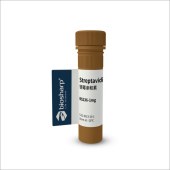 Biosharp BS236-1mg Streptavidin 链霉亲和素