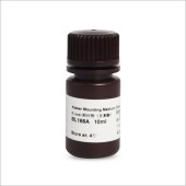 Biosharp BL166A Kisser封片剂（无苯酚）