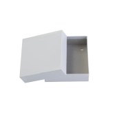 Eppendorf B50-SQ NBS 白色纸板冻存盒, 2"/50 mm 高, 尺寸133x133x50 mm
