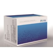 MGI 1000005251 MGIEasy 全基因组甲基化文库制备试剂盒, 16 RXN