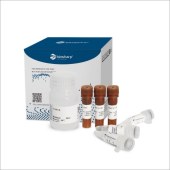 Biosharp BL915A Click-iT EdU-488细胞增殖检测试剂盒(适用于FACS、FM)
