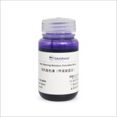 Biosharp BL999A 尼氏(Nissl)染色液(甲苯胺蓝法)