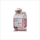Invitrogen 31985-088 Opti-MEM I 减血清培养基（含L-谷氨酰胺）