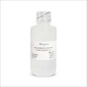 Biosharp BL388A 中性福尔马林固定液(10%)