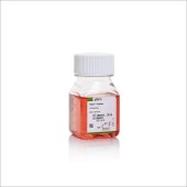 Invitrogen 12605-010 Express重组胰酶细胞消化液（含EDTA，含酚红）