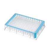 Eppendorf 0030503147 96孔深孔板 500μl,普通包装,DNA低吸附, 蓝色, 40块(5x8块)