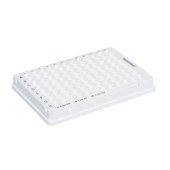 Eppendorf 0030132513 twin.tec荧光定量PCR 96孔板, 全裙边(孔白色), 白色, 25片