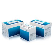 MGI 1000013452 MGIEasy PCR-Free DNA文库制备试剂套装 V1.0 16RXN