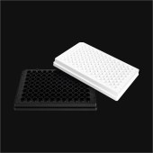 LABSELECT 11557 96孔微孔板,白底白板,未灭菌,不带盖(未处理表面)