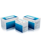 MGI 1000013454 MGIEasy 酶切 PCR-Free DNA文库制备试剂套装 V1.1 16RXN