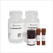 Biosharp BL133A 细胞衰老β-半乳糖苷酶染色试剂盒