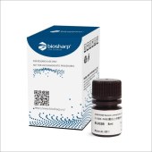 Biosharp BL932B 2×SDS-PAGE蛋白上样缓冲液（无气味）