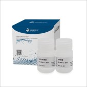Biosharp BL159A 磷酸钙法细胞转染试剂盒