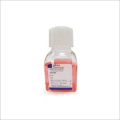 Invitrogen A1110501 StemPro Accutase 细胞解离试剂