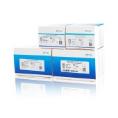 MGI 1000022801 MGIEasy 双端独立标签引物接头试剂盒A