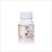 Invitrogen 31985-062 Opti-MEM I 减血清培养基（含L-谷氨酰胺）