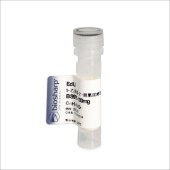 Biosharp BS975-100mg EdU（5-乙炔基-2-脱氧尿嘧啶核苷）