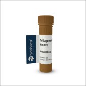 Biosharp BS954-100mg 胶原酶V型CollagenaseV 2-8度