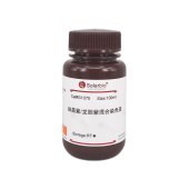 Solarbio G1075 结晶紫/龙胆紫混合染色液