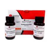 Solarbio G3080 异染颗粒染色试剂盒(改良Albert法)