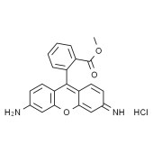 Solarbio R8030 罗丹明123