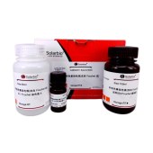 Solarbio G3291 肝胆色素染色试剂盒(改良Fouchet法)