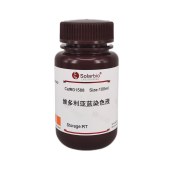 Solarbio G1588 维多利亚蓝染色液