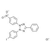 Solarbio I8150 碘硝基氯化四氮唑蓝(INT)