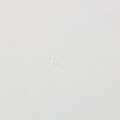 Solarbio G2580 精子活体检测试剂(低渗膨胀法)