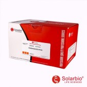 Solarbio G2040 纤维素染色试剂盒(改良MSB法)