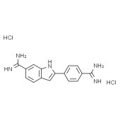 Solarbio D8200 4',6-二脒基-2-苯基吲哚 DAPI