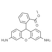 Solarbio S1101 二氢罗丹明123（5 mM DMSO溶液）