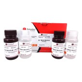 Solarbio G1930 幽门螺旋杆菌染色试剂盒(MGG法)
