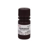 Solarbio G1570 詹纳斯绿B染色液(0.5%)