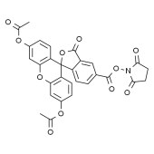 Solarbio S1076 CFDA, 5(6)-羧基二乙酸荧光素琥珀酰亚胺酯