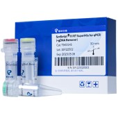 TSINGKE TSK314S SynScript®Ⅲ RT SuperMix for qPCR（+gDNA Remover）