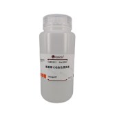 Solarbio G3912 氨基黑10B染色漂洗液