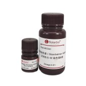 Solarbio G2590 尿沉渣染色试剂盒(Sternheimer-Malbin法)
