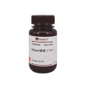 Solarbio G3950 Weigert碘液(1%)