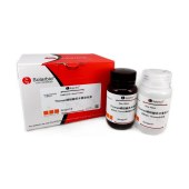 Solarbio G3720 Thomas磷钼酸苏木素染色试剂盒