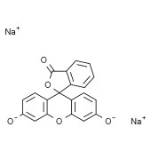 Solarbio F8140 荧光素钠