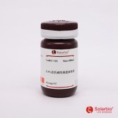 Solarbio G1185 吕氏碱性美蓝染色液(0.4%)