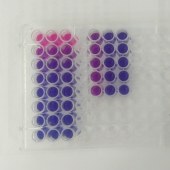 Solarbio A7631 阿尔玛蓝试剂
